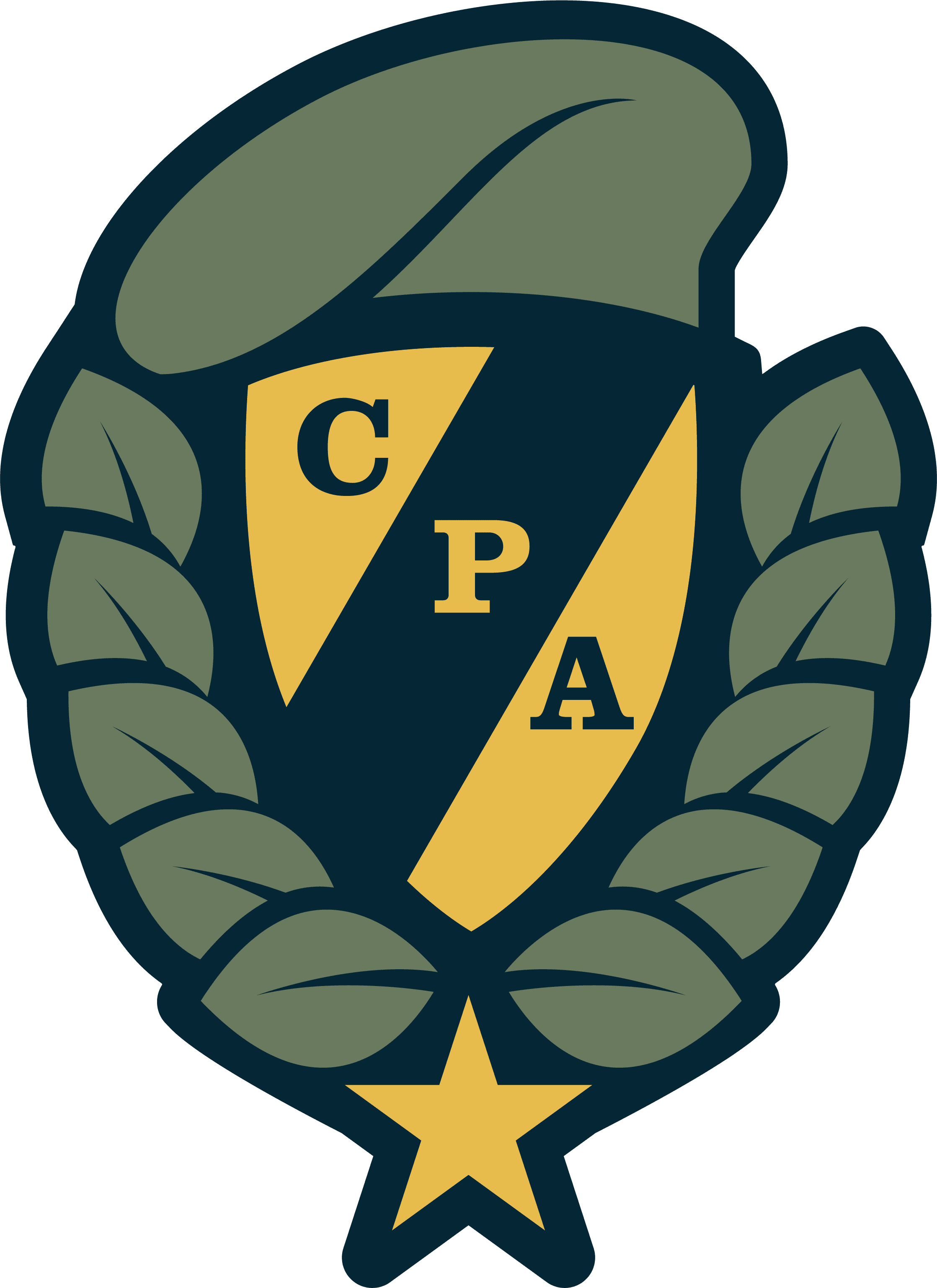 Colin Powell Academy Logo