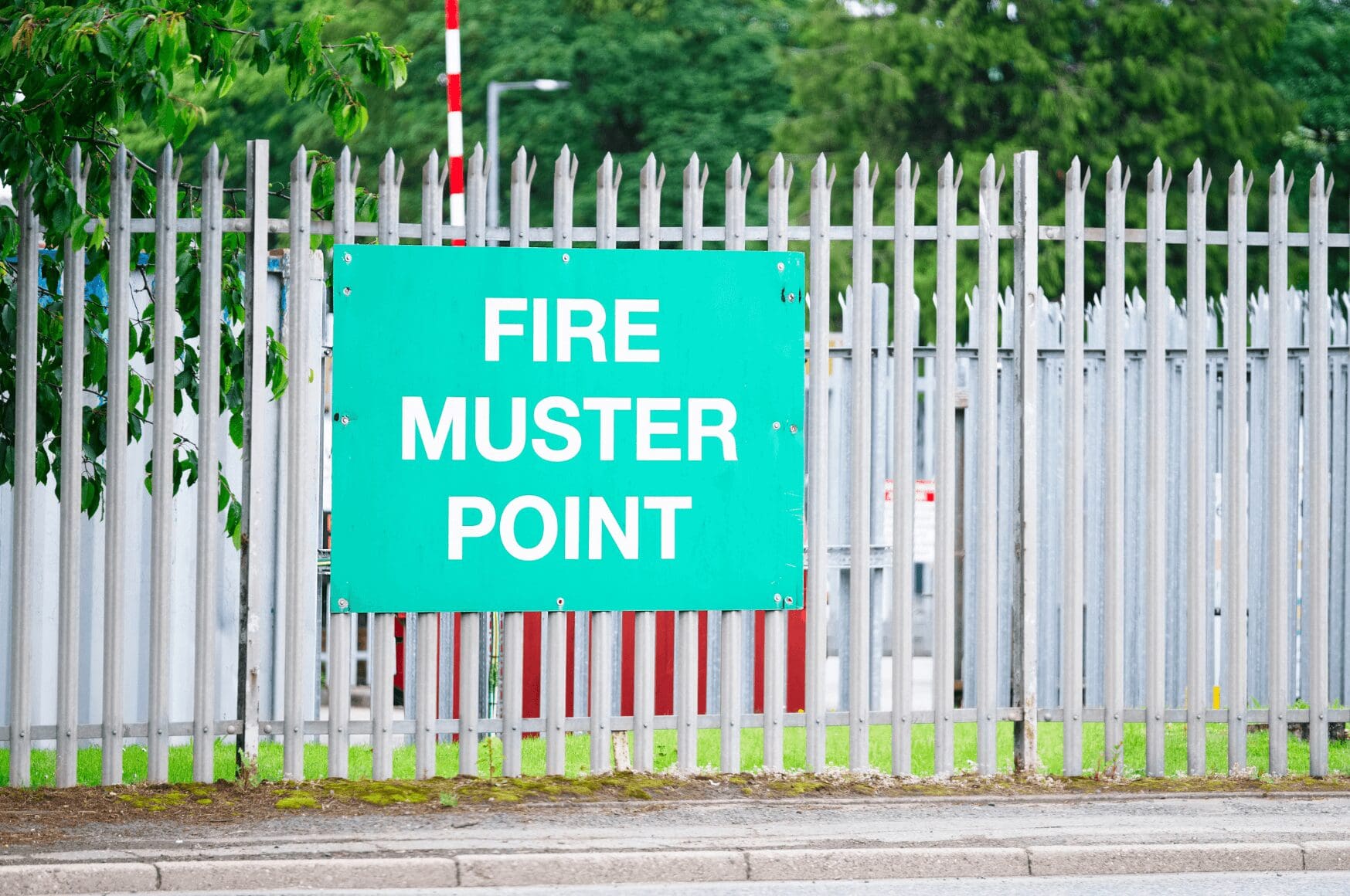 Green muster point station sign on a fence