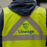 Lineage Westfield
